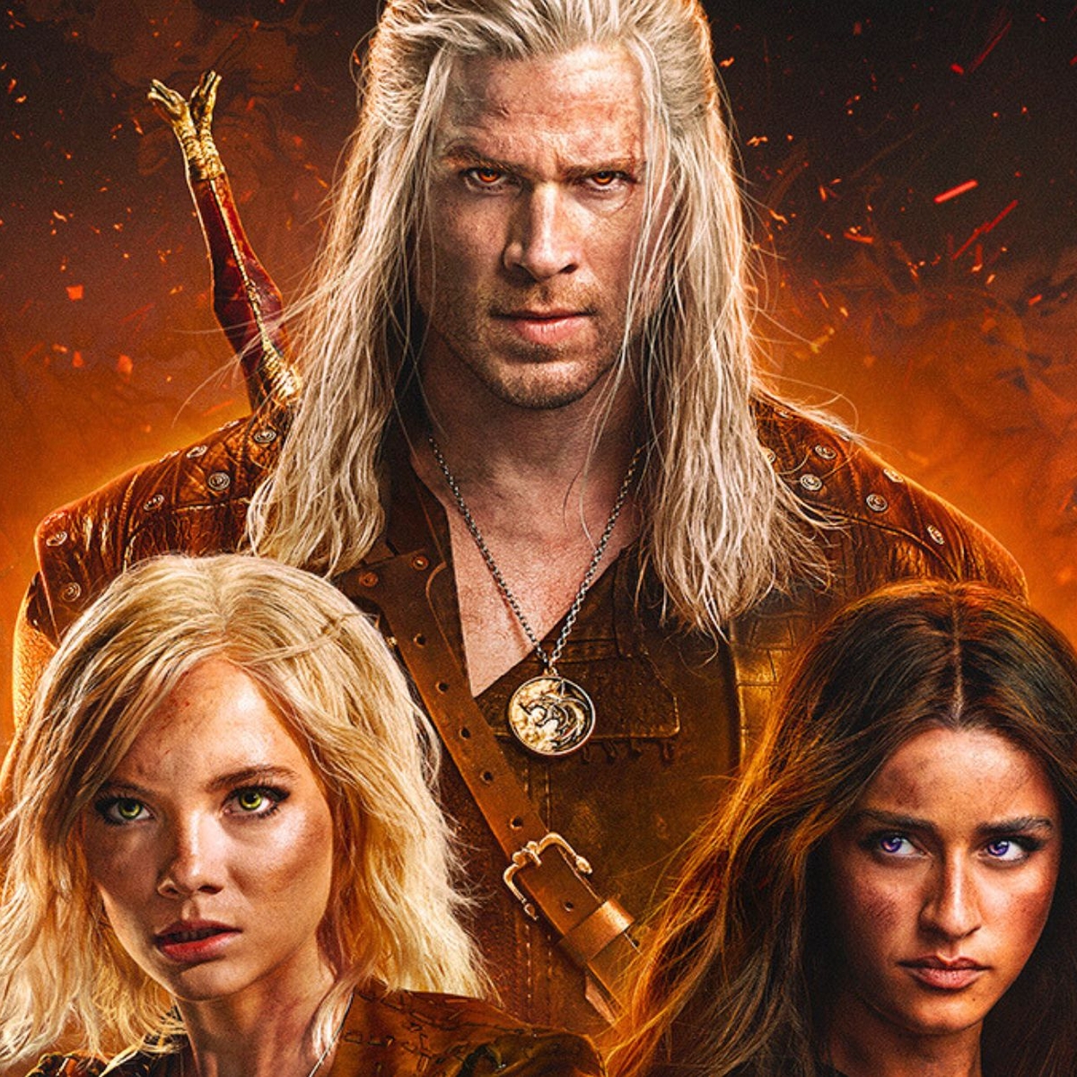 the witcher